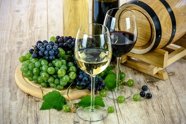 Les grands vins à découvrir pour une expérience inoubliable